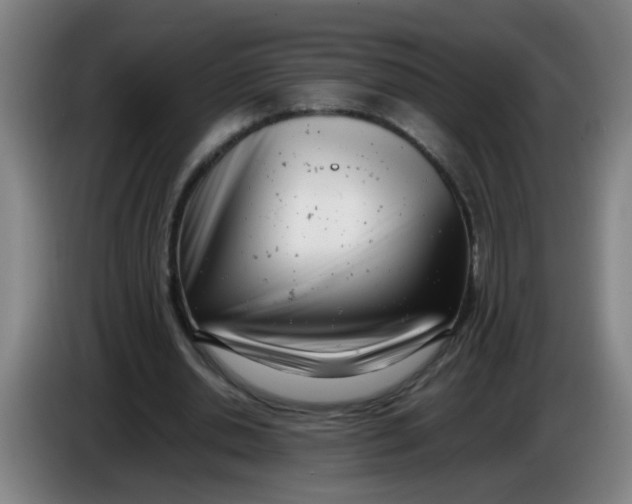 X0000085210438200703301645