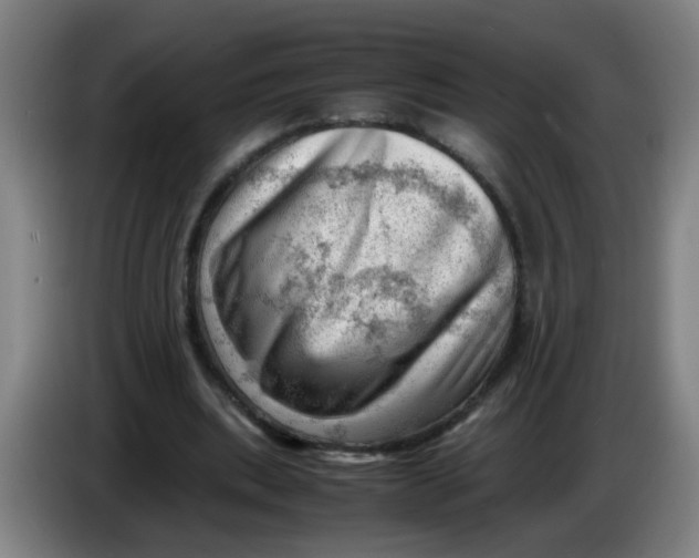 X0000085210439200703301645