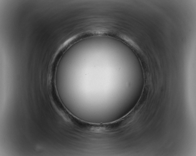 X0000085210440200703301645