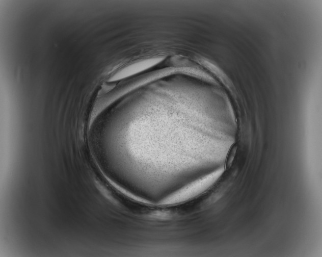 X0000085210441200703301645