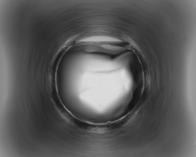 X0000085210444200703301645