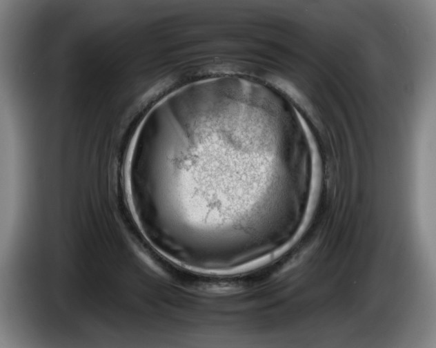 X0000085210445200703301645