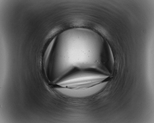 X0000085210446200703301645