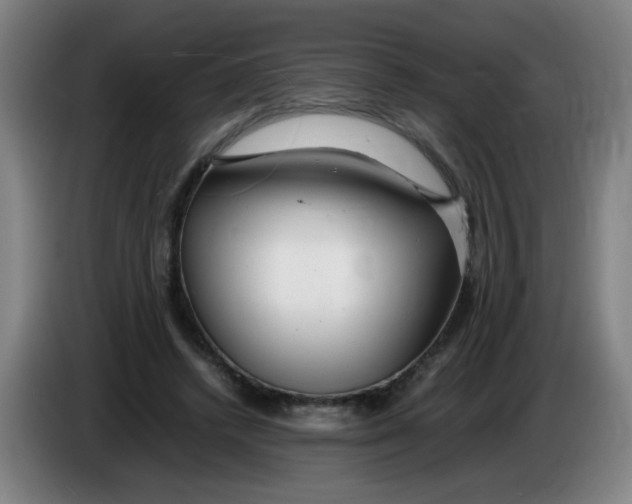 X0000085210448200703301645