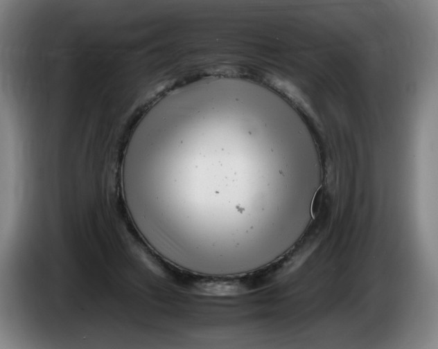 X0000085210449200703301645