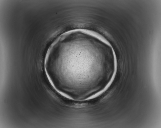 X0000085210450200703301645