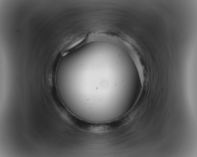 X0000085210452200703301645