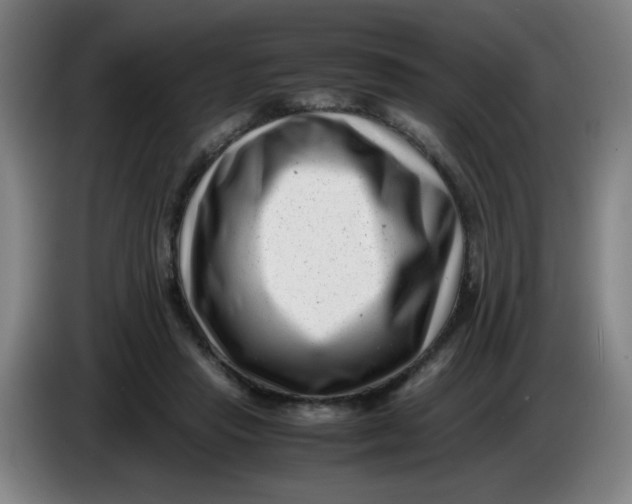 X0000085210453200703301645