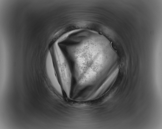 X0000085210454200703301645