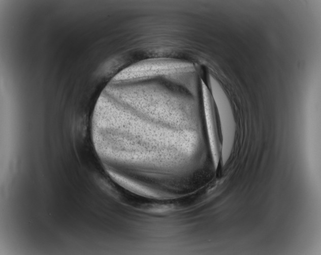 X0000085210458200703301645