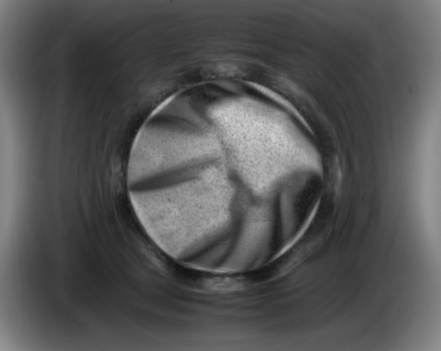 X0000085210465200703301645