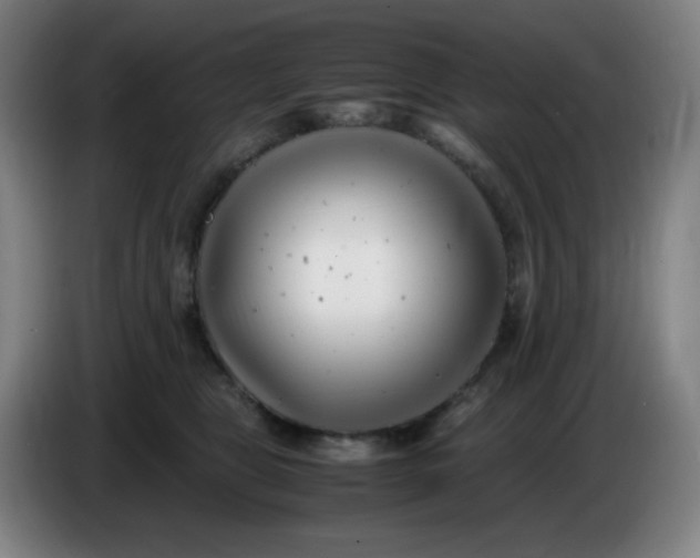 X0000085210469200703301645