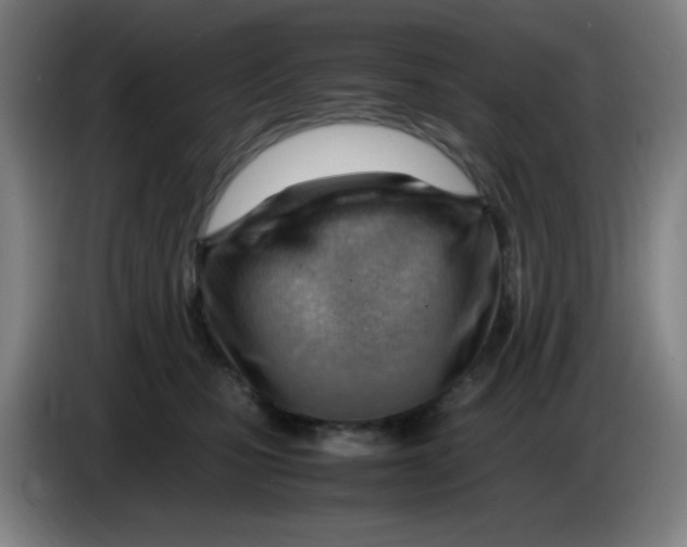 X0000085210471200703301645