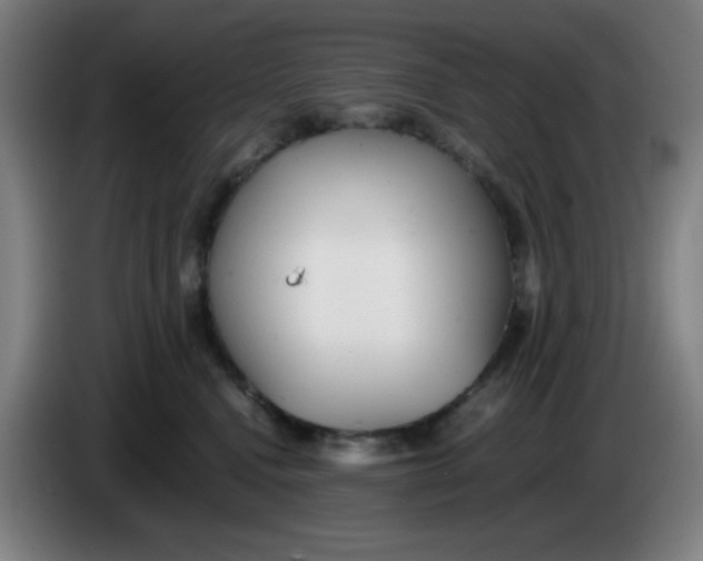 X0000085210472200703301645