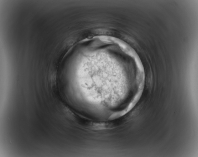 X0000085210473200703301645