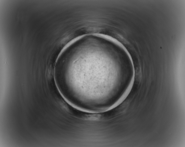 X0000085210474200703301645