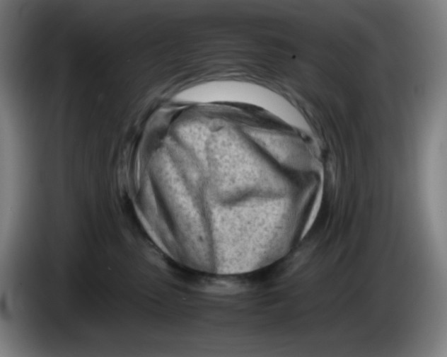 X0000085210475200703301645