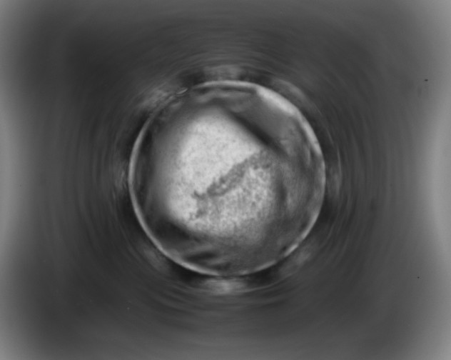 X0000085210477200703301646