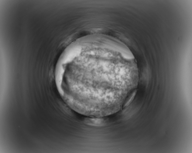 X0000085210478200703301646