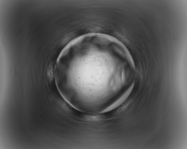 X0000085210479200703301646