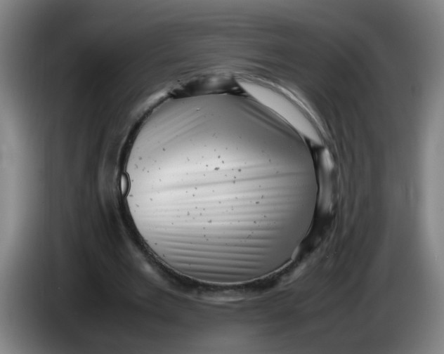 X0000085210485200703301645