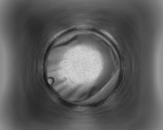 X0000085210487200703301645