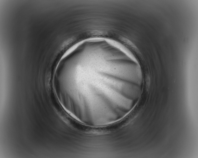 X0000085210490200703301645