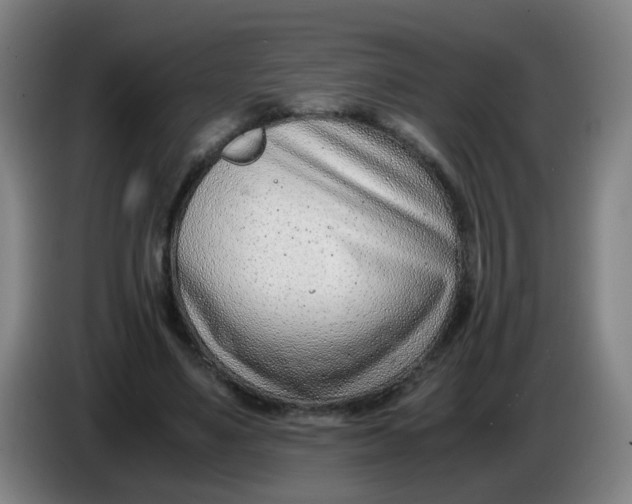 X0000085210491200703301645