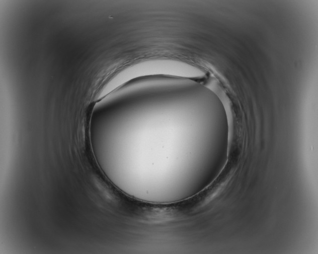 X0000085210493200703301645