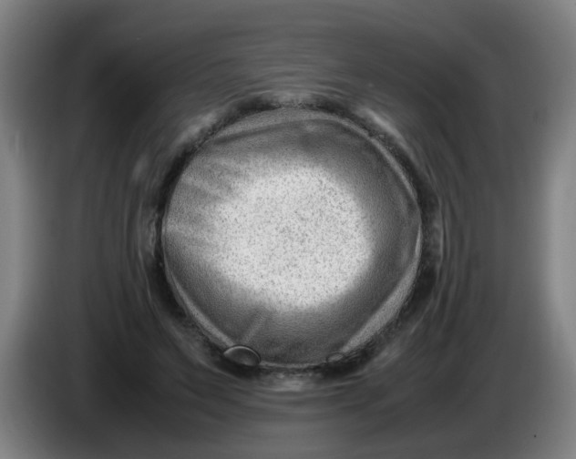 X0000085210495200703301645