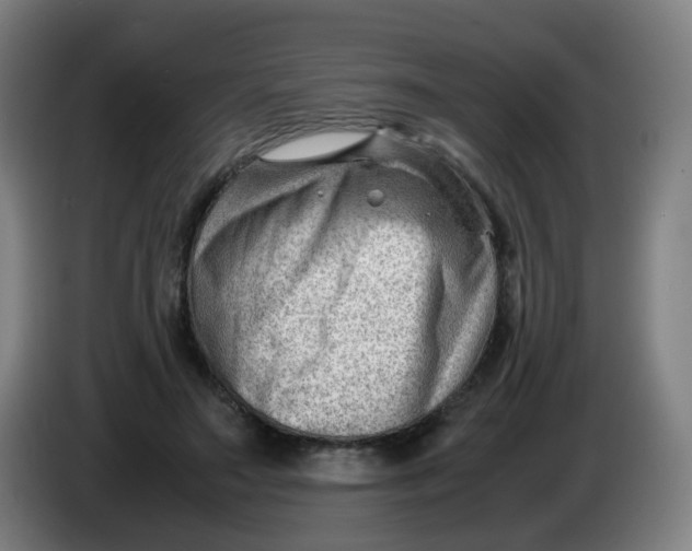 X0000085210499200703301645