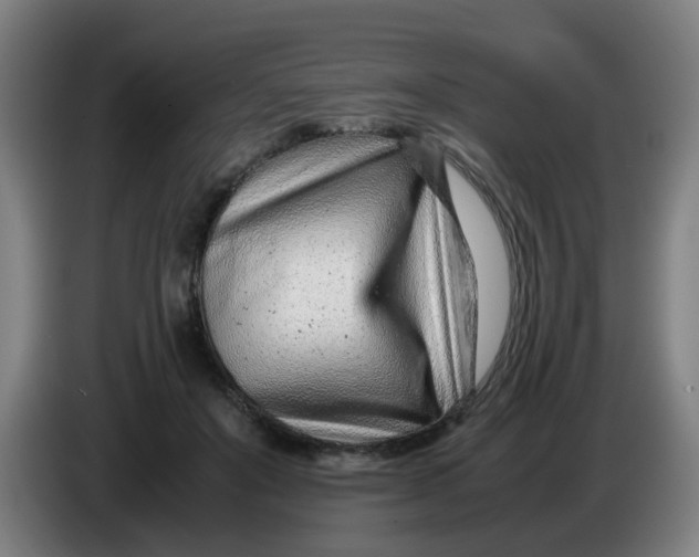 X0000085210503200703301645