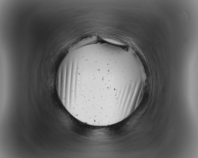 X0000085210505200703301645