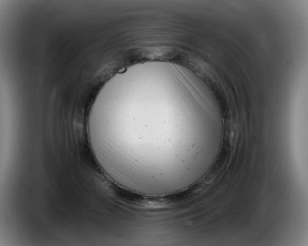 X0000085210510200703301644