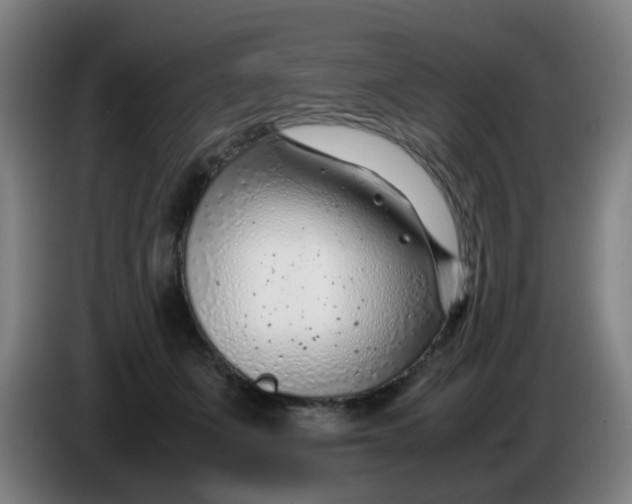 X0000085210511200703301644