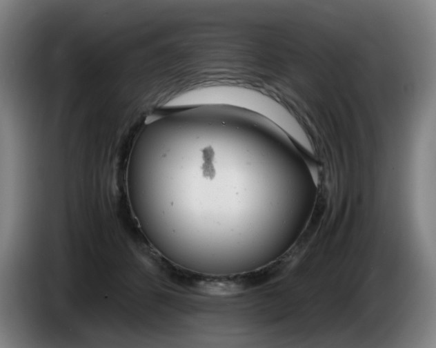 X0000085210512200703301644