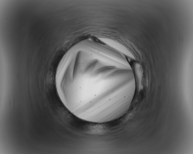 X0000085210513200703301644