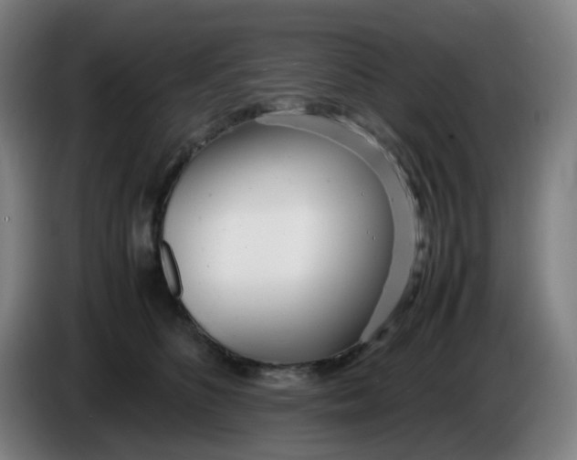 X0000085210516200703301644