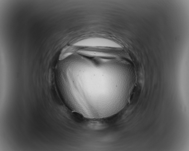 X0000085210519200703301644