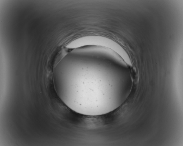 X0000085210521200703301644