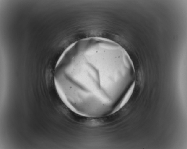 X0000085210522200703301644