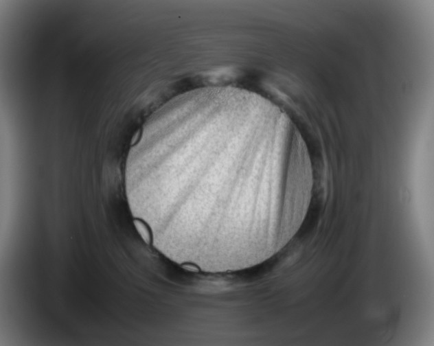 X0000085210523200703301644