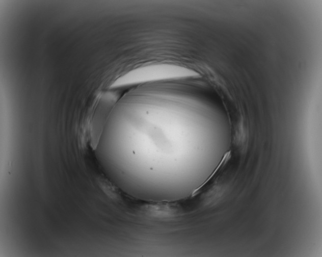 X0000085210524200703301644