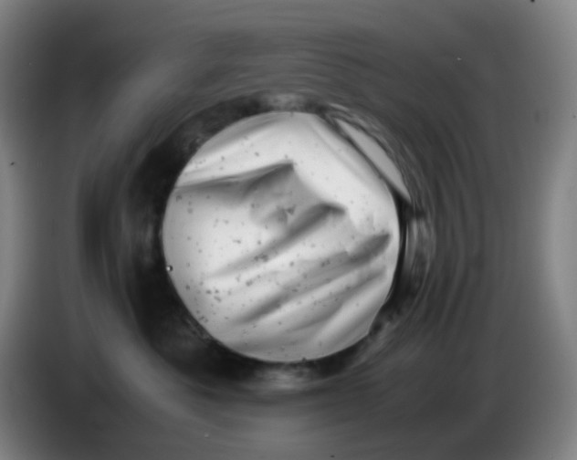 X0000085210525200703301644