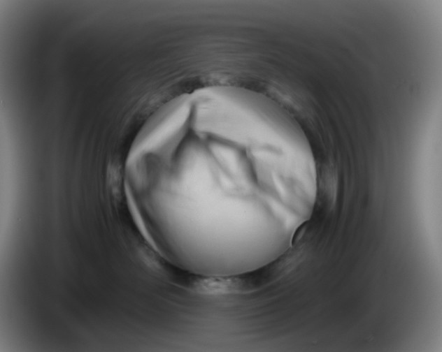 X0000085210526200703301644