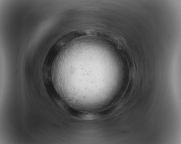 X0000085210527200703301644