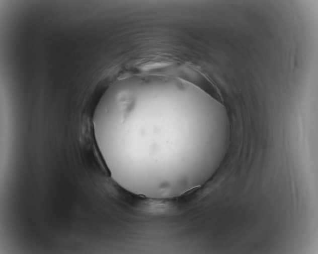 X0000085210528200703301644