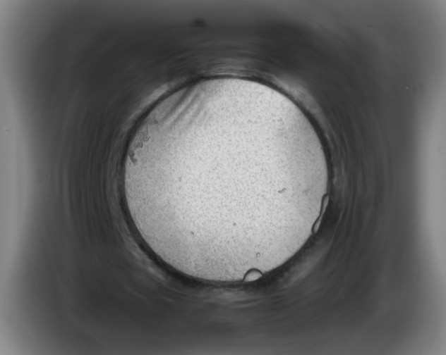 X0000085210529200703301644