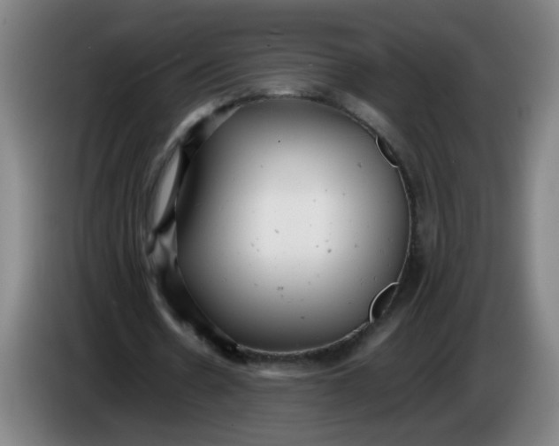 X0000085210530200703301644