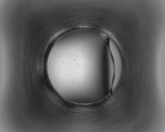 X0000085210531200703301644